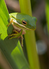 a little privacy please