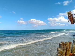 Ao sabor do mar
