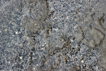 Melting snow asphalt slush water flow puddle dirty street sidewalk
