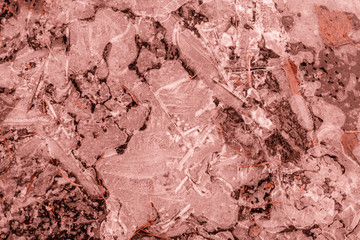 Living Coral color of the Year 2019 on abstract background. Ice Background