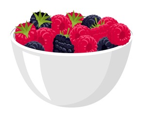 Raspberries and blackberries. Big Pile of Fresh Raspberries and blackberries in the White Bowl. Vector illustration Isolated on the White Background