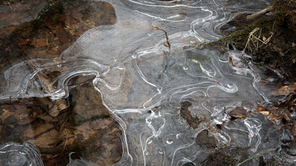 Ice formation on a small, leaf-filled vernal pool in Stokes State Forest, New Jersey