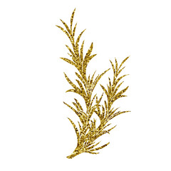 Rosemary golden herbal illustration