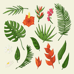 Vector tropical flowers and leaves object set