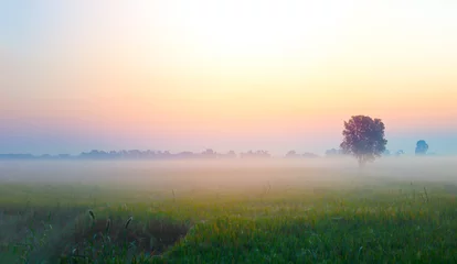 Photo sur Plexiglas Matin avec brouillard Prairie de paysage avec brouillard de ciel dramatique d& 39 arbre et beau matin d& 39 automne