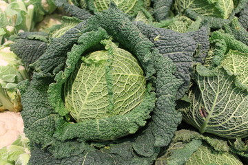 choux vert