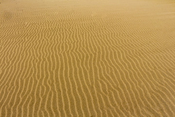 Keine Spuren im Sand