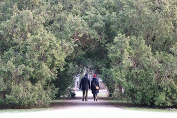 Obraz premium A couple entering the forest