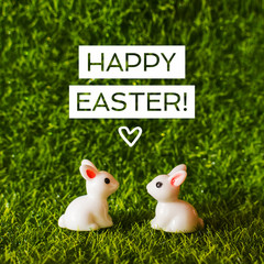 2 rabbits on grass background. close-up figures