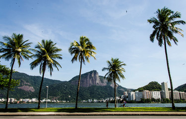 Fototapeta premium Lagoa Rodrigo de Freitas