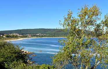 Fototapeta na wymiar Bay with beach and forest. Trees and blue sea with foam. Clear sky, sunny day. Finisterre, Galicia, Spain.