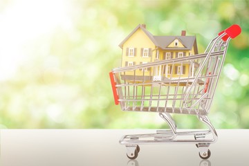 Classic house model  in shopping cart on backgrouund