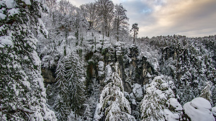 Felsen mit Wald im Winter von der  Bastei Brücke in Elbsandsteingebirge im Winter, Nationalpark...