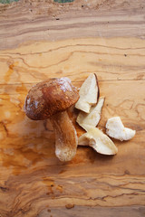 A little frozen Boletus Edulis mushroom from the wood