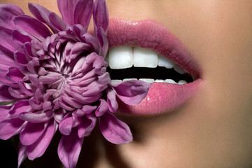Close up of woman's lips with purple flower between her teeth