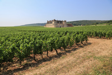Fototapeta na wymiar Weinbaugebiet Burgund: Weinberge und das berühmte Schloss Clos de Vougeot