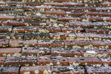 Weinbaugebiet Beaune: Alte verwitterte Dachziegel von Schloss Clos de Vougeot