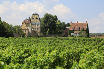 Fototapeta na wymiar Weinbaugebiet Burgund: Weinberge und berühmtes Schloss Aloxe-Corton