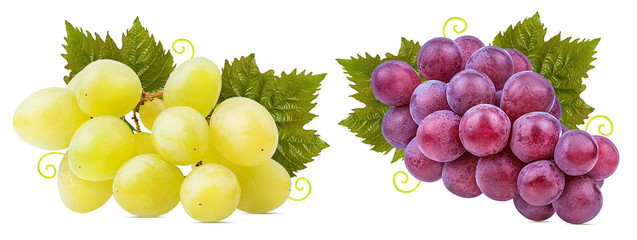 Fresh grapes isolated on white background with clipping pass