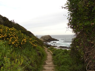 Küstenlandschaft in Südafrika