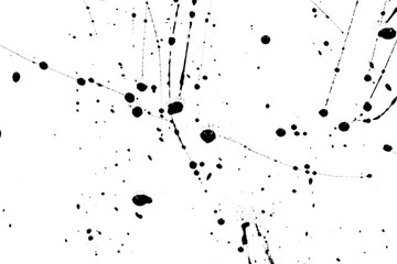 Splashes of black paint on a white background. black paint  following stains