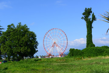 Ferris wheel and marvellous trees