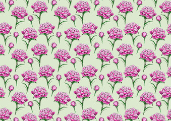 Hand drawn pink peonies pattern. Light green background with flowers.