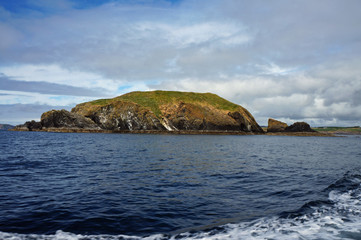 birds on the coast of Myross Island © BabettsBildergalerie