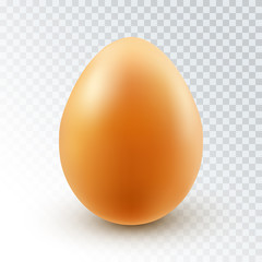 Vector Realistic Brown Chicken Egg with Shadow Isolated on Transparent Background.