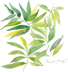 illustration of green leaves with watercolor effect. Branch on white background.