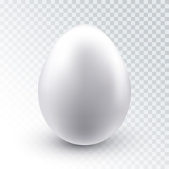 Vector realistic white chicken egg with shadow isolated on transparent background