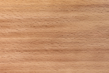 Light brown beech wood texture