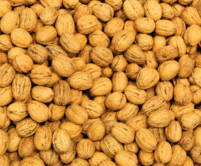 Background of nuts