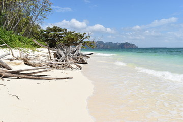 Fototapeta na wymiar Beautiful panorama of the lonely beach with a white tree trunk in front at Poda Island in Krabi, Thailand, Asia