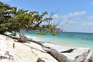 Beautiful panorama of the lonely beach with a white tree trunk in front at Poda Island in Krabi, Thailand, Asia