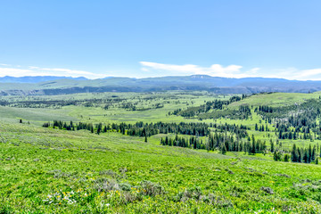 Fototapeta na wymiar Breathtaking Scenery at Yellowstone National Park