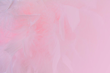 Fototapeta na wymiar Abstract pink colored feathers background. Fluffy feather fashion design vintage bohemian style pastel texture.