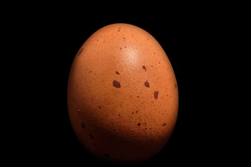 Egg brown with stains moles on a black background