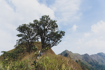 group of peoples hiking in mountains with backpacks, enjoying their adventure