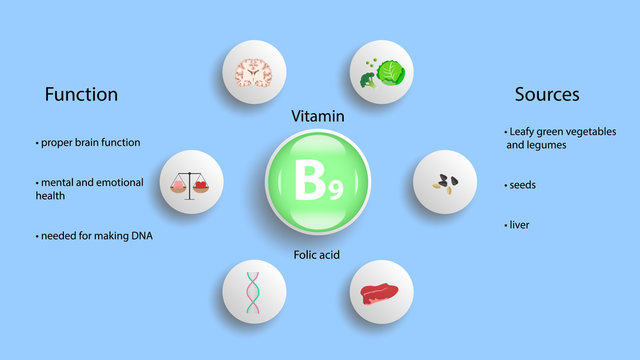 Vitamin B9 vector design. Vitamin B9 function and sources. Folic acid