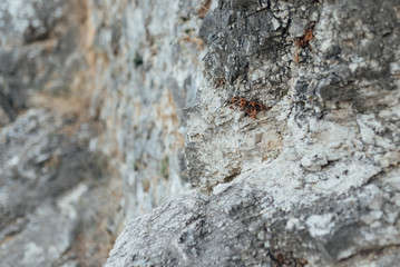 solid stone