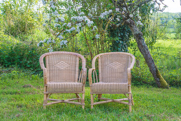 Obraz premium Two wicker chairs in spring blooming garden