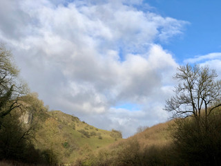 Obraz premium Peak District Winter Tree Landscape