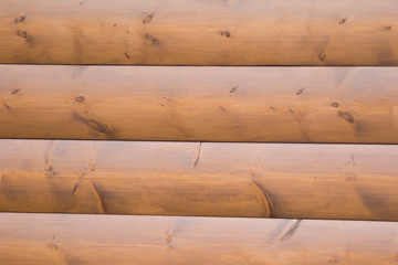 Wood texture. Log background image