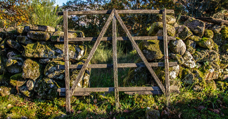 wooden gate in the garden