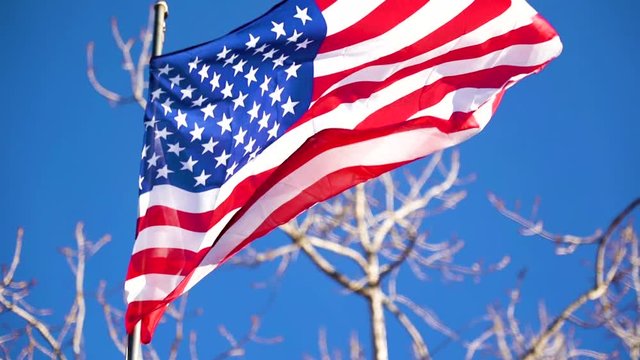 Slow Motion American Flag with Blue Sky and Tree in Background