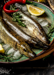 Fresh uncooked pike fish with lemon, herbs and spices on rustic wooden board. Food background, top view