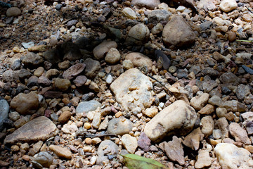 pebbles on the beach