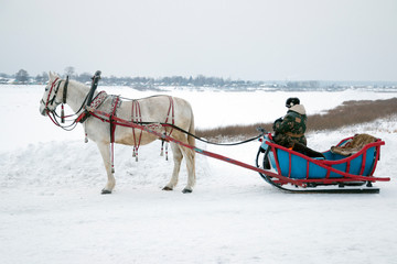 White horse harnessed to a sleigh in which a woman sits. Winter, the embankment of Veliky Ustyug