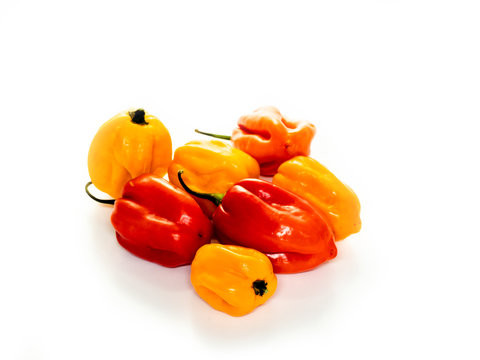 Habanero pepper, jalapeno, capsicum annuum, small spicy peppers, white background